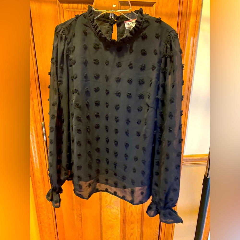 Polka Dot Blouse - image 1